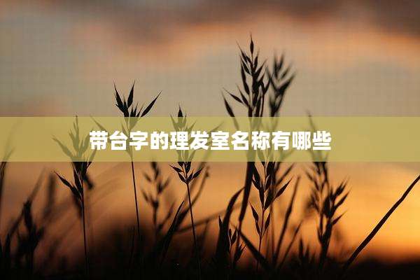 带台字的理发室名称有哪些