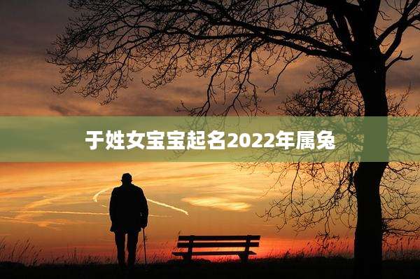于姓女宝宝起名2022年属兔