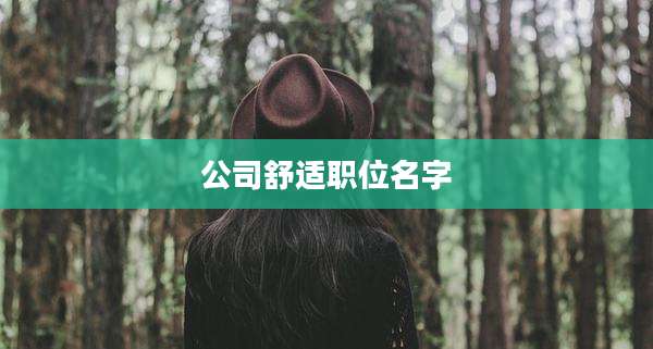 公司舒适职位名字