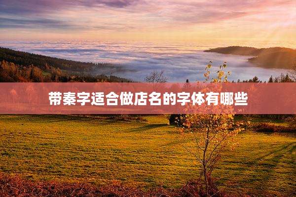 带秦字适合做店名的字体有哪些