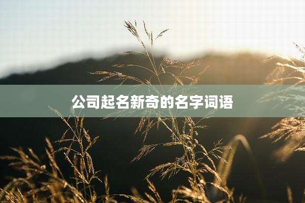 公司起名新奇的名字词语
