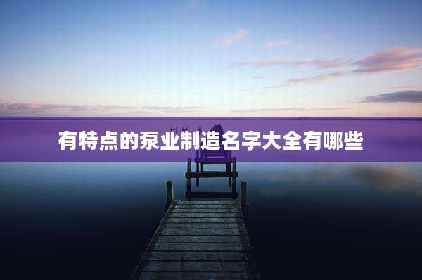 有特点的泵业制造名字大全有哪些