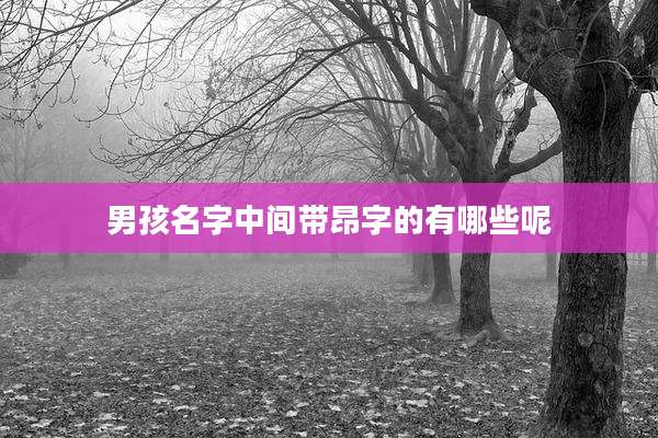 男孩名字中间带昂字的有哪些呢