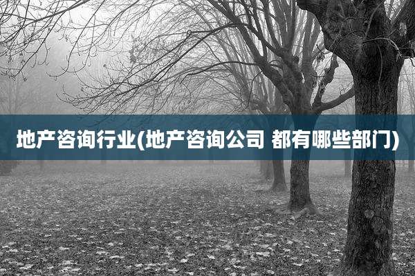 地产咨询行业(地产咨询公司 都有哪些部门)