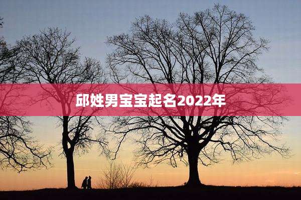 邱姓男宝宝起名2022年
