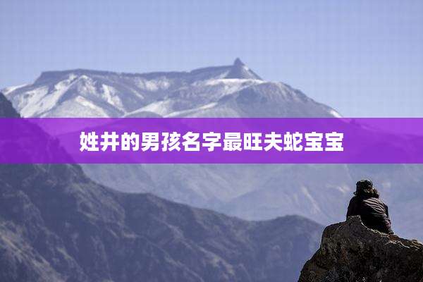 姓井的男孩名字最旺夫蛇宝宝