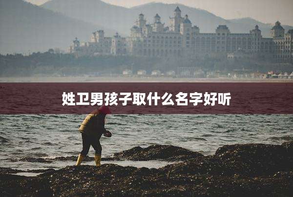 姓卫男孩子取什么名字好听