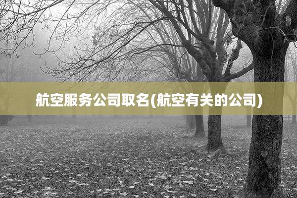 航空服务公司取名(航空有关的公司)