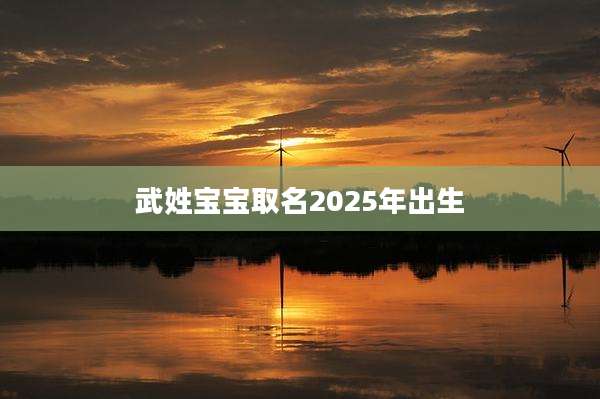 武姓宝宝取名2025年出生