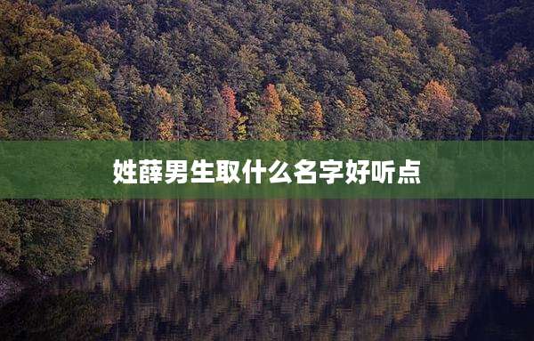 姓薛男生取什么名字好听点