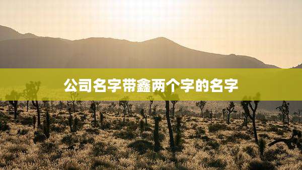 公司名字带鑫两个字的名字