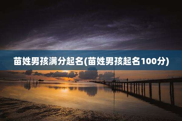 苗姓男孩满分起名(苗姓男孩起名100分)