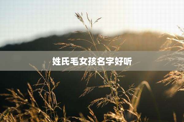 姓氏毛女孩名字好听