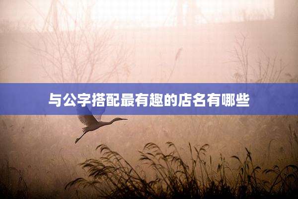 与公字搭配最有趣的店名有哪些
