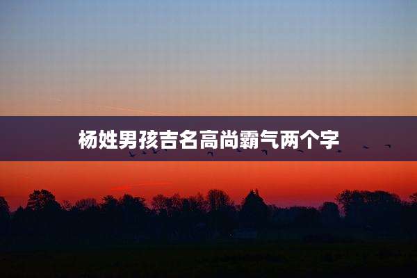 杨姓男孩吉名高尚霸气两个字