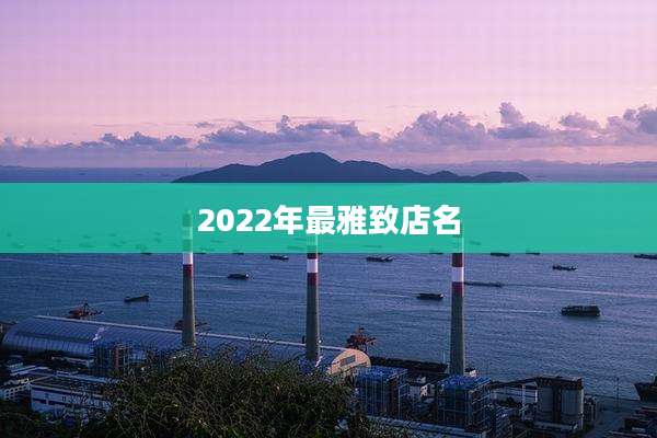 2022年最雅致店名