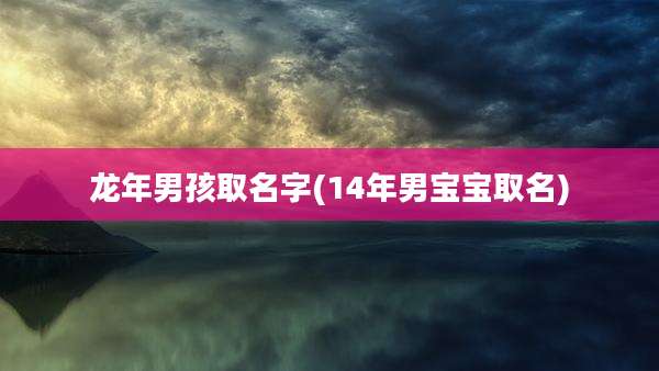 龙年男孩取名字(14年男宝宝取名)