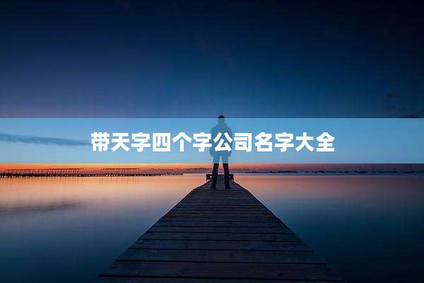 带天字四个字公司名字大全