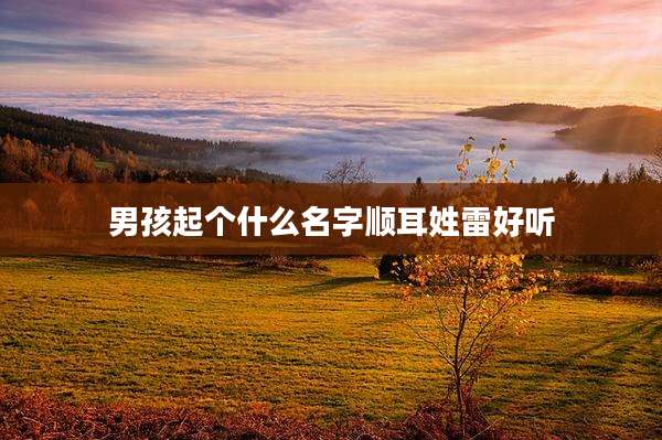 男孩起个什么名字顺耳姓雷好听