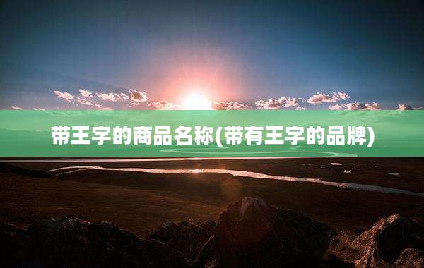 带王字的商品名称(带有王字的品牌)