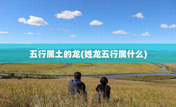 五行属土的龙(姓龙五行属什么)