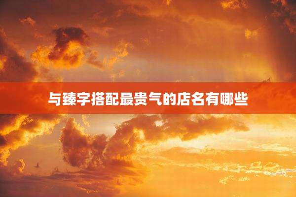 与臻字搭配最贵气的店名有哪些