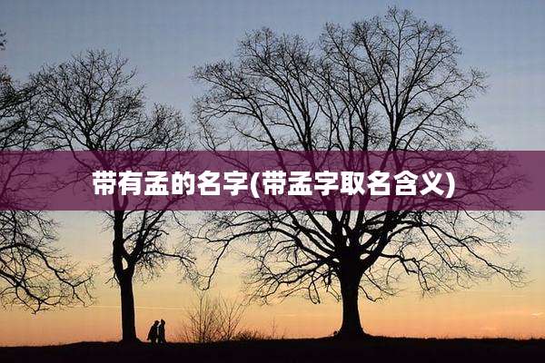 带有孟的名字(带孟字取名含义)