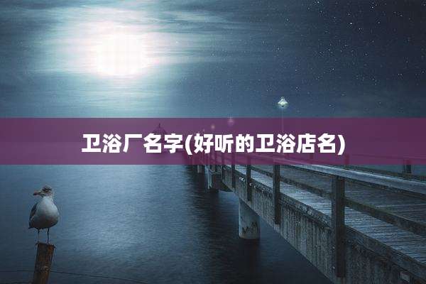 卫浴厂名字(好听的卫浴店名)