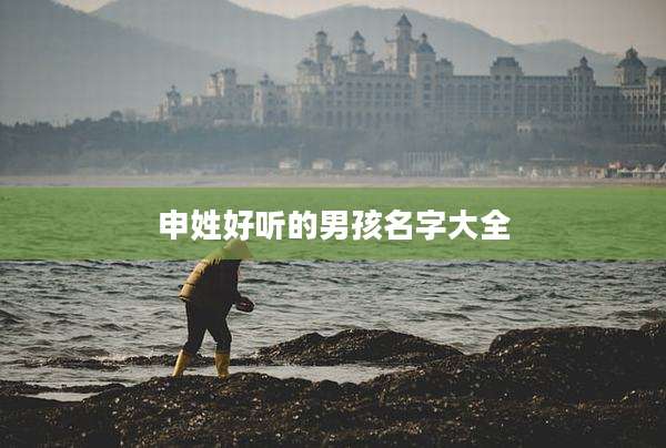 申姓好听的男孩名字大全
