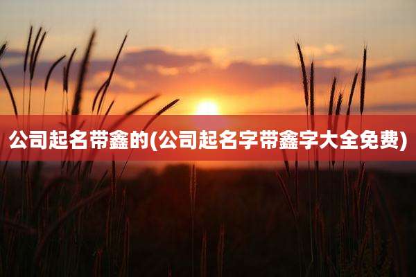 公司起名带鑫的(公司起名字带鑫字大全免费)