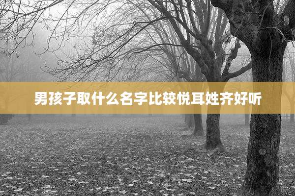 男孩子取什么名字比较悦耳姓齐好听