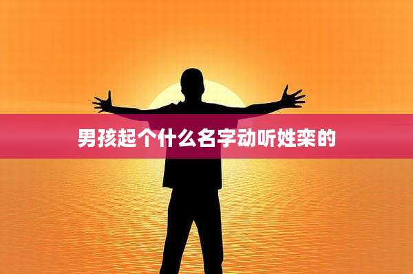 男孩起个什么名字动听姓栾的
