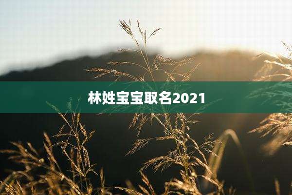 林姓宝宝取名2021