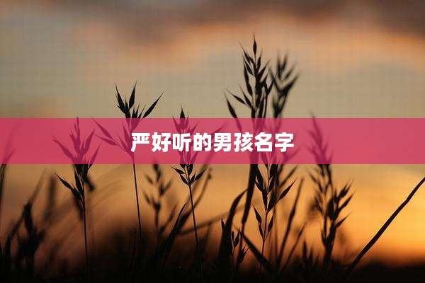 严好听的男孩名字