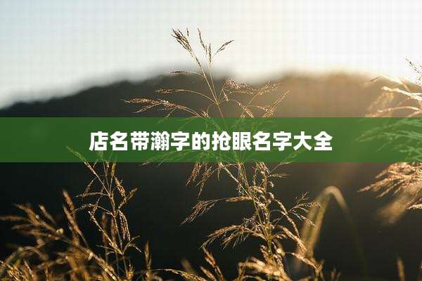 店名带瀚字的抢眼名字大全