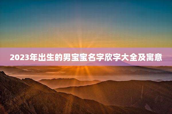 2023年出生的男宝宝名字欣字大全及寓意