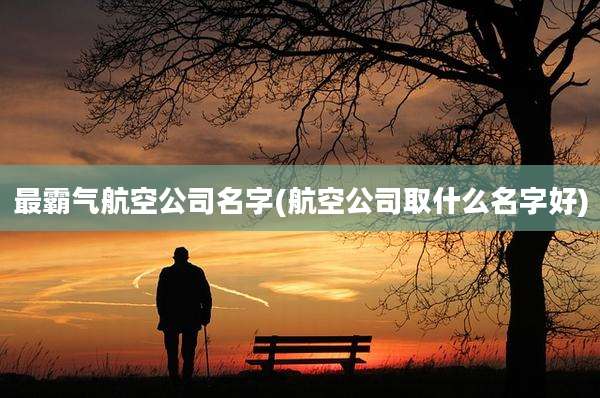 最霸气航空公司名字(航空公司取什么名字好)