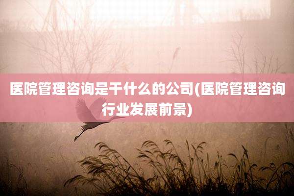 医院管理咨询是干什么的公司(医院管理咨询行业发展前景)