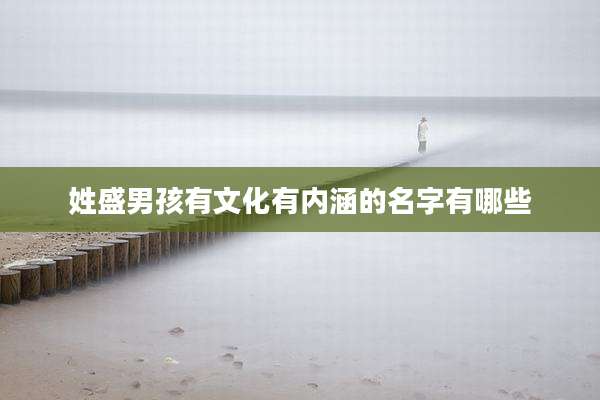 姓盛男孩有文化有内涵的名字有哪些