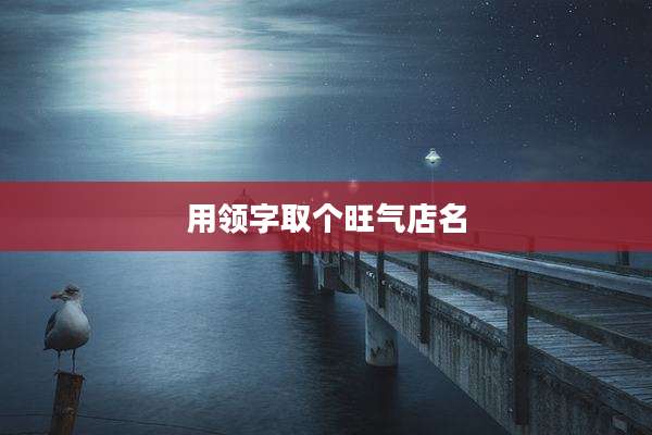用领字取个旺气店名
