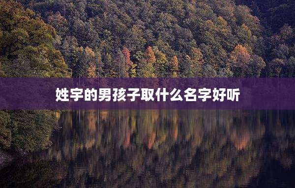 姓宇的男孩子取什么名字好听