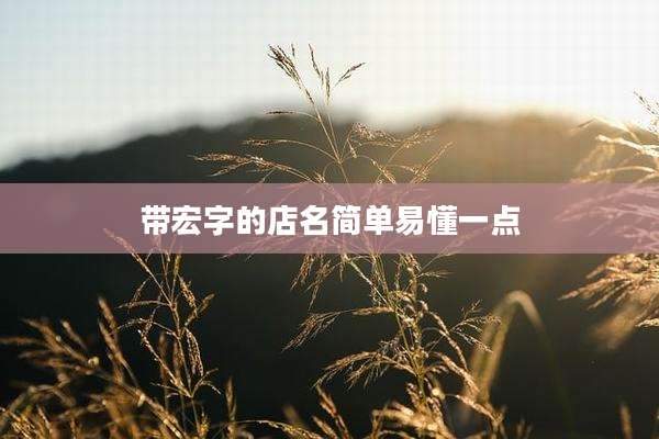 带宏字的店名简单易懂一点