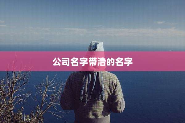 公司名字带浩的名字