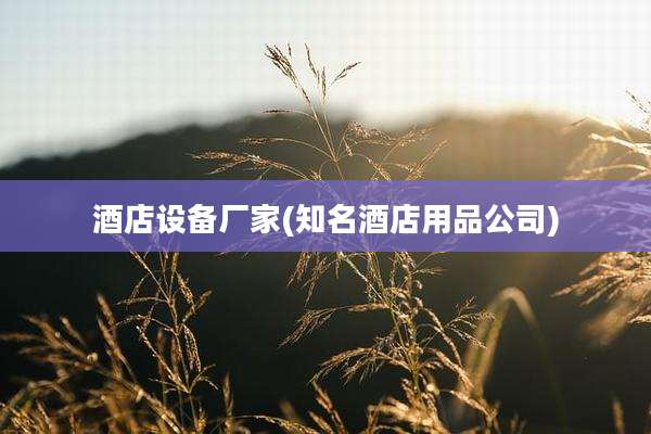 酒店设备厂家(知名酒店用品公司)