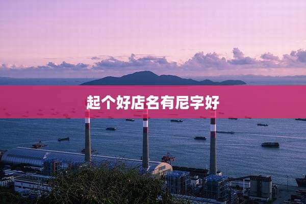 起个好店名有尼字好