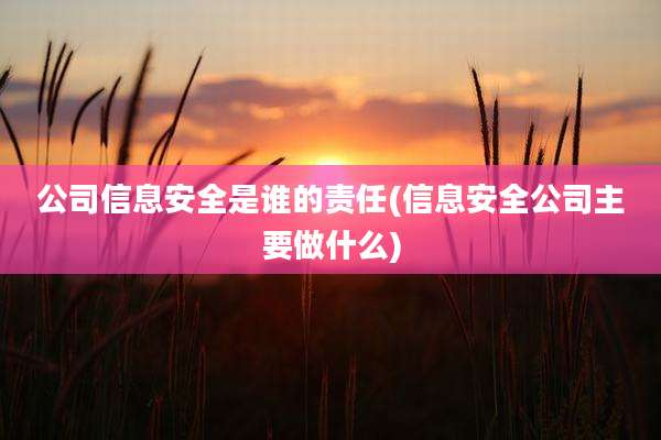 公司信息安全是谁的责任(信息安全公司主要做什么)