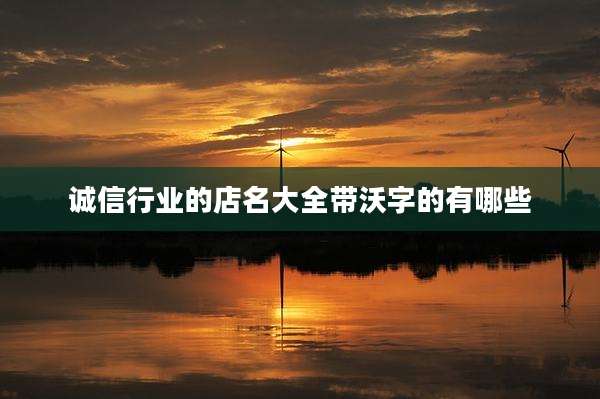 诚信行业的店名大全带沃字的有哪些