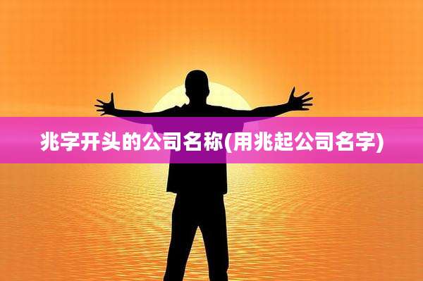兆字开头的公司名称(用兆起公司名字)