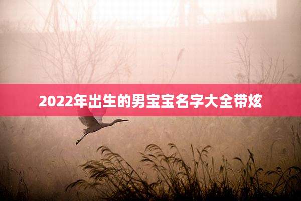 2022年出生的男宝宝名字大全带炫