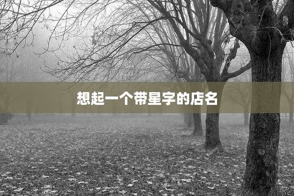 想起一个带星字的店名